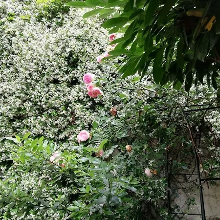 ホームステイ Relax Santa Chiara